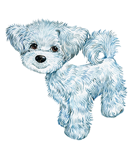 white little dog clipart