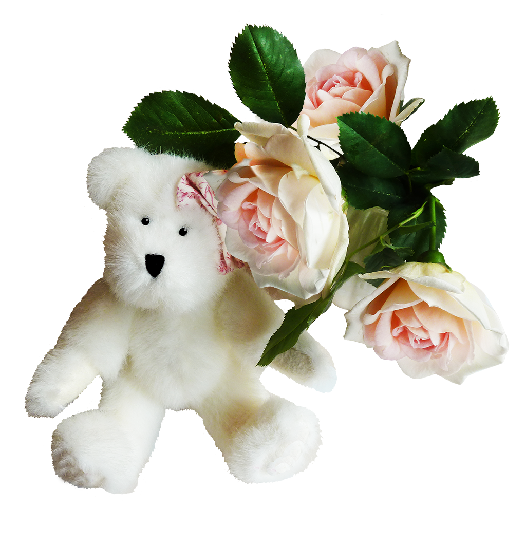 White teddy bear with rose