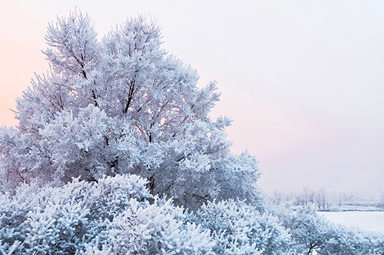 winter landscape picture