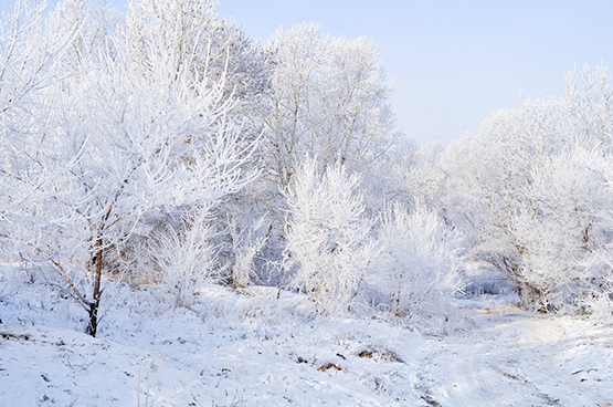 amazing winter picture of landscape