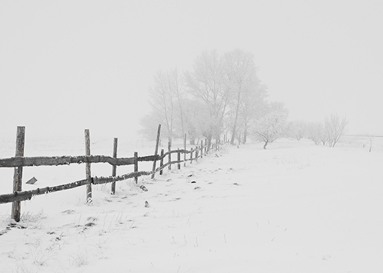 winter landscape with old fence