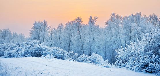 beautiful winter sunset