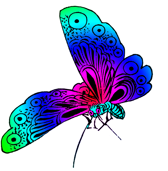 Monarch Butterfly Drawing png download - 2394*3445 - Free Transparent  Butterfly png Download. - CleanPNG / KissPNG