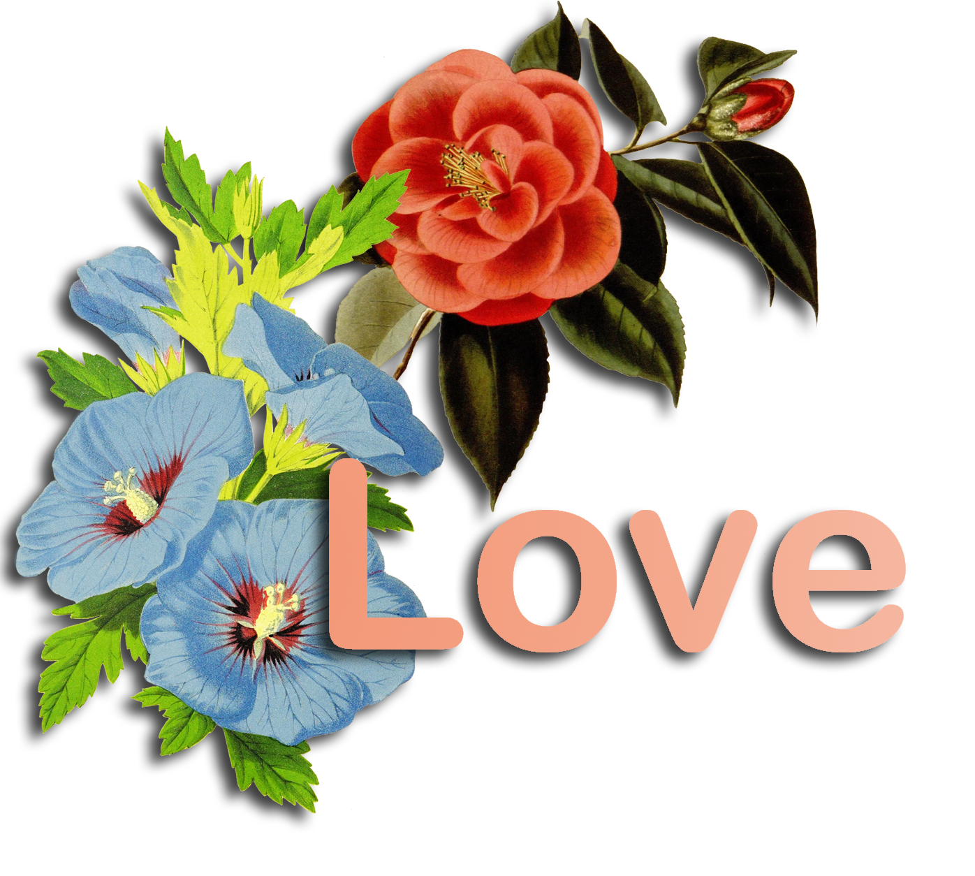love word and flowers