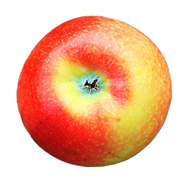apple seen from below
