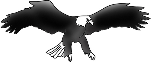 bald eagle landing drawings