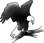 bald eagle clip art