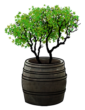 barrel with tree