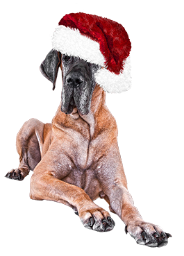huge Christmas dog clipart