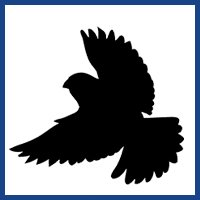 big logo bird silhouettes