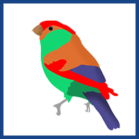 big logo colorful drawings of birds