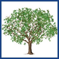 big logo tree clipart