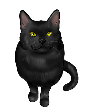 drawing of black cat