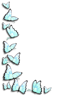 blue butterfly frame