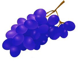blue grapes cluster drawing