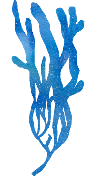 blue sea weed clipart