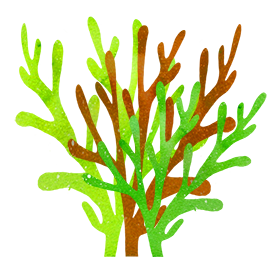 brown green sea weed clipart