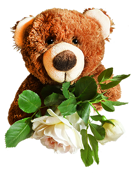 brown Teddy bear with pink roses