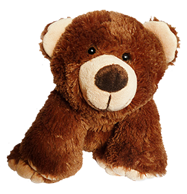 Brown Teddy bear