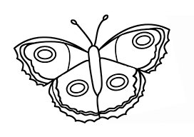 coloring page butterfly