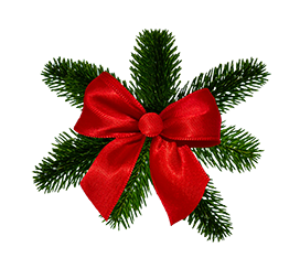 Christmas flower and spruce