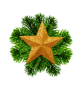 Christmas star and spruce