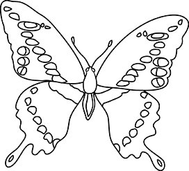 coloring sheet butterfly