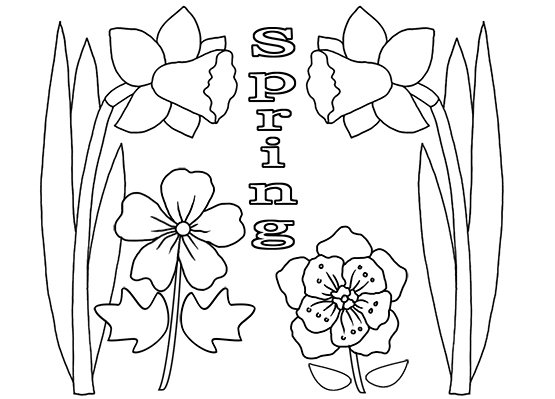 coloring page spring flowers