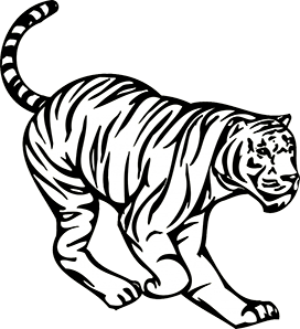 crouching tiger image