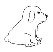 dog sketches puppy