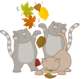fall leaves and cats