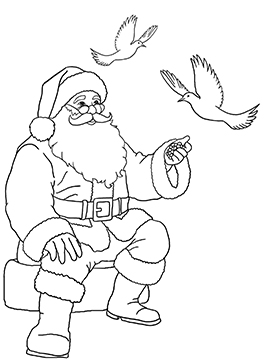 Father Christmas and birds for coloring