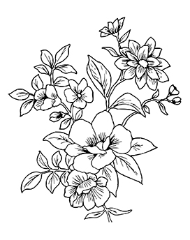 fine line art flower illustration for coloring