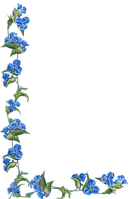 flower border blue flowers