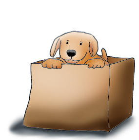 Cute puppy in cardboard box