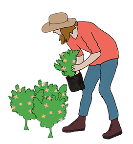 gardening clipart flower garden