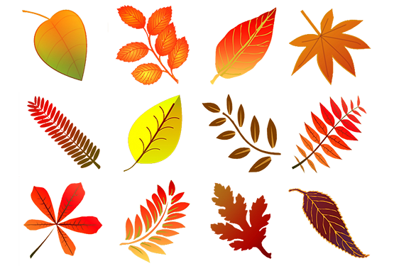 glowing fall leaves drawings