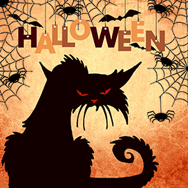 halloween greeting cat spiders