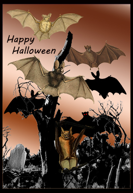 Halloween card bats tree grave