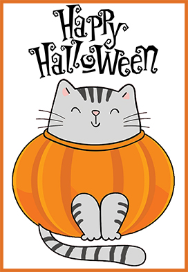 Halloween card cat in pumpkin funny