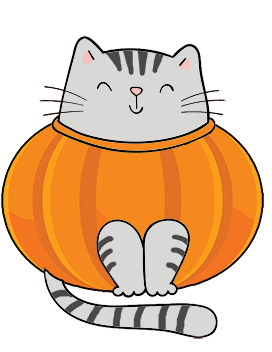 funny-halloween cat in pumpkin
