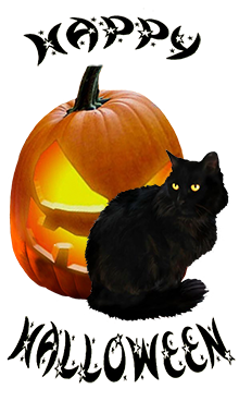 happy halloween image cat pumpkin
