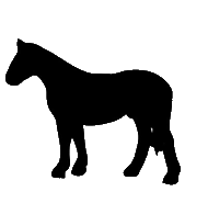 Standing horse silhouette