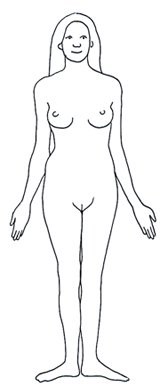 human body diagram female woman