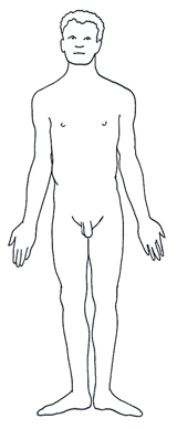 human body diagram male man black white