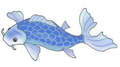 koi fish drawings blue koifish