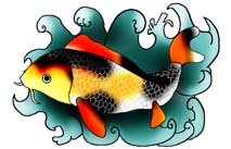 black red koi fish in waves