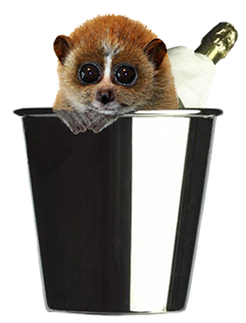 New Year greeting from small animal