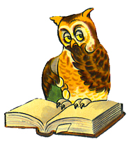 Owl reading a book PNG