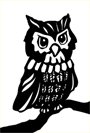 pictures of owls white background drawing